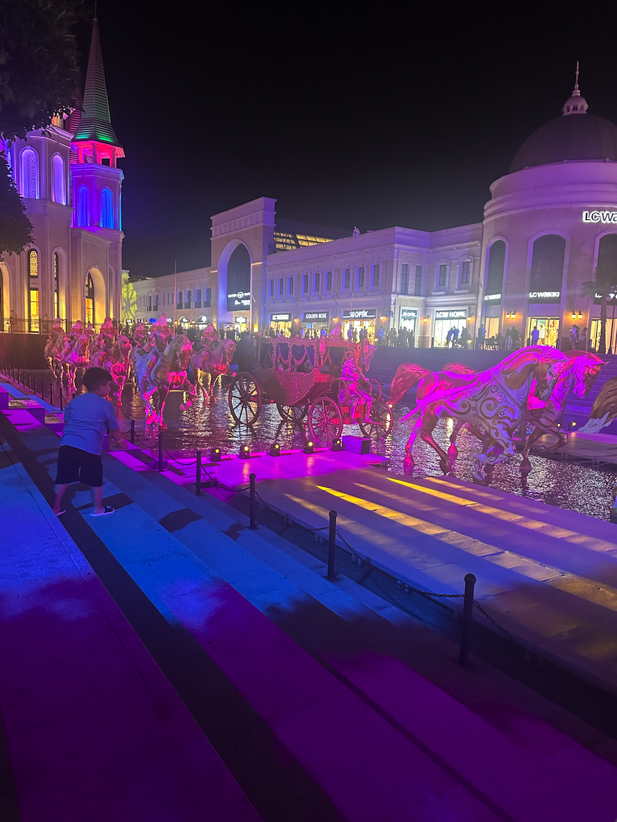 Night Show